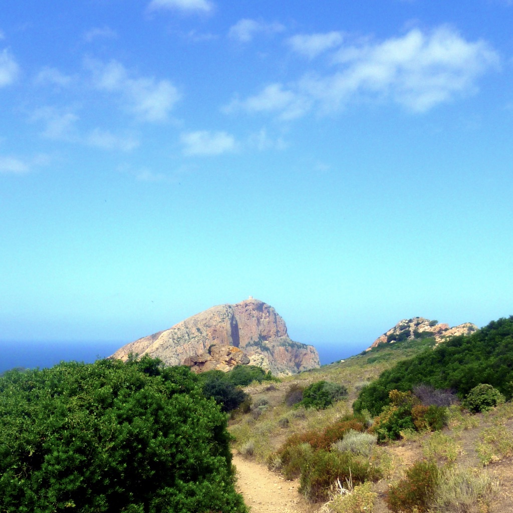 Corse Capo Rosso1