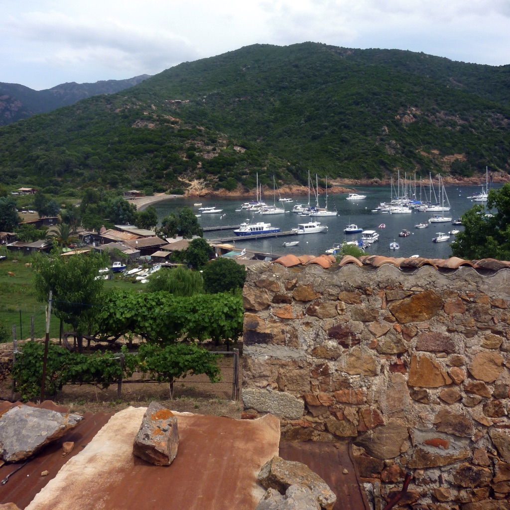 Corse Piana4