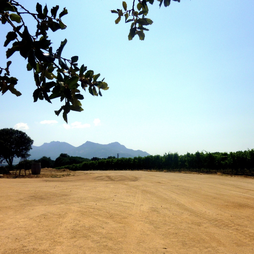 Haute Corse Calvi5