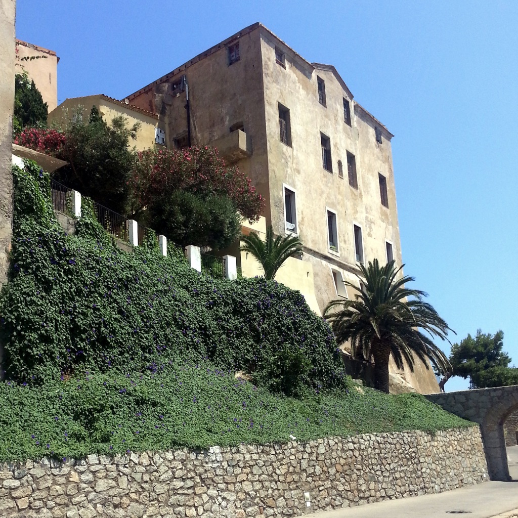 Haute corse Calvi3