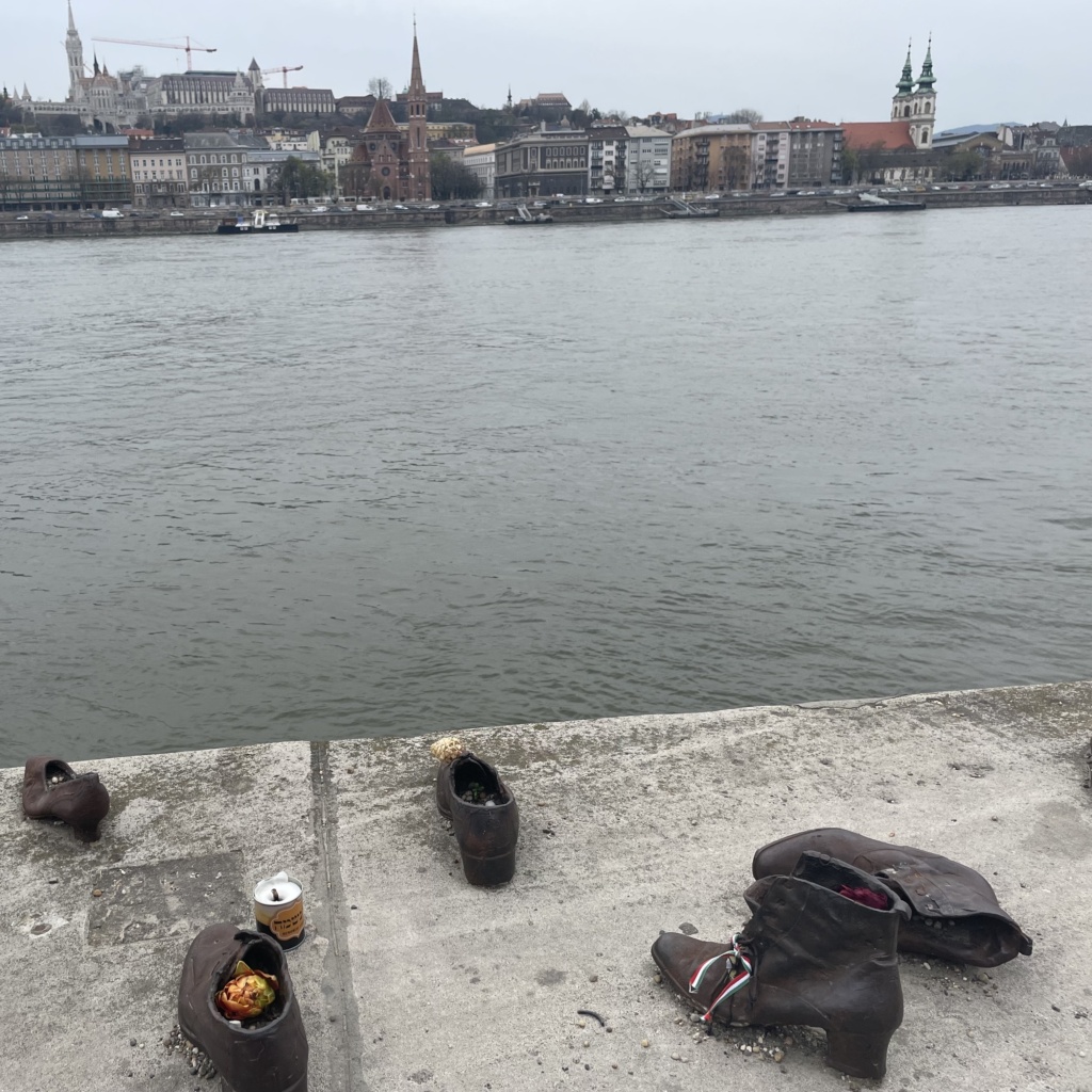 Chaussures danube2