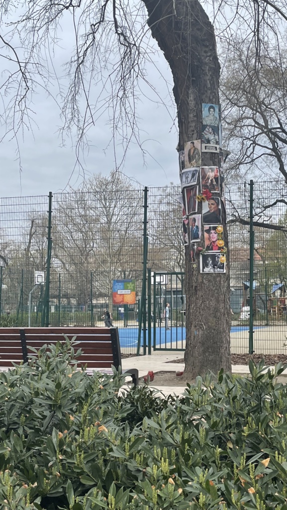 L'arbre hommage MJackson