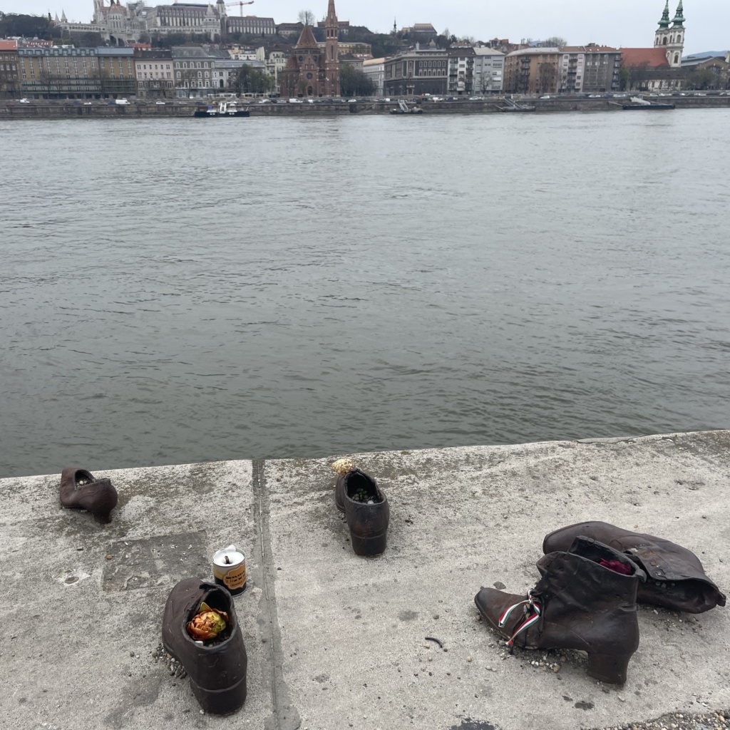 chaussures danube