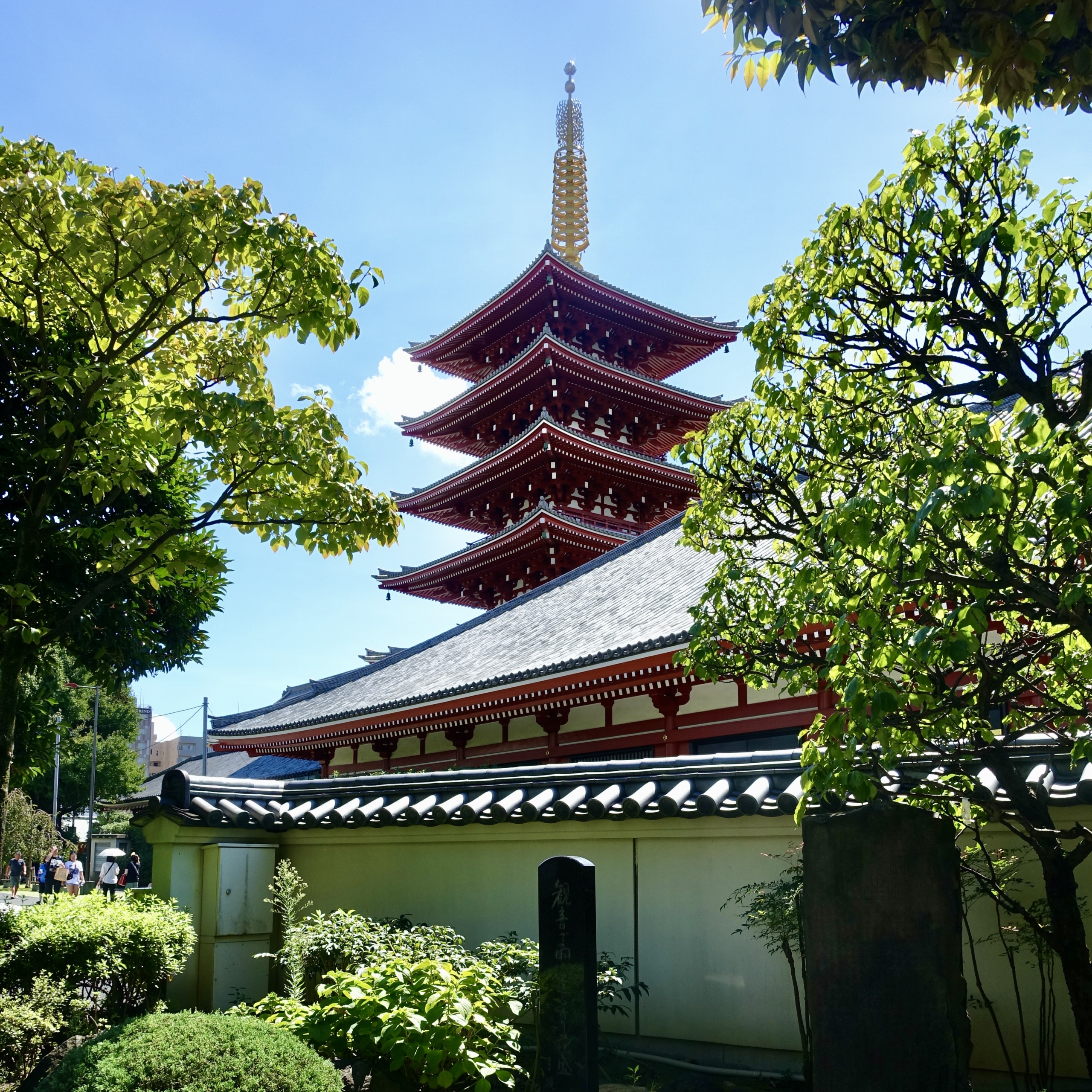 Vue Pagode jardin