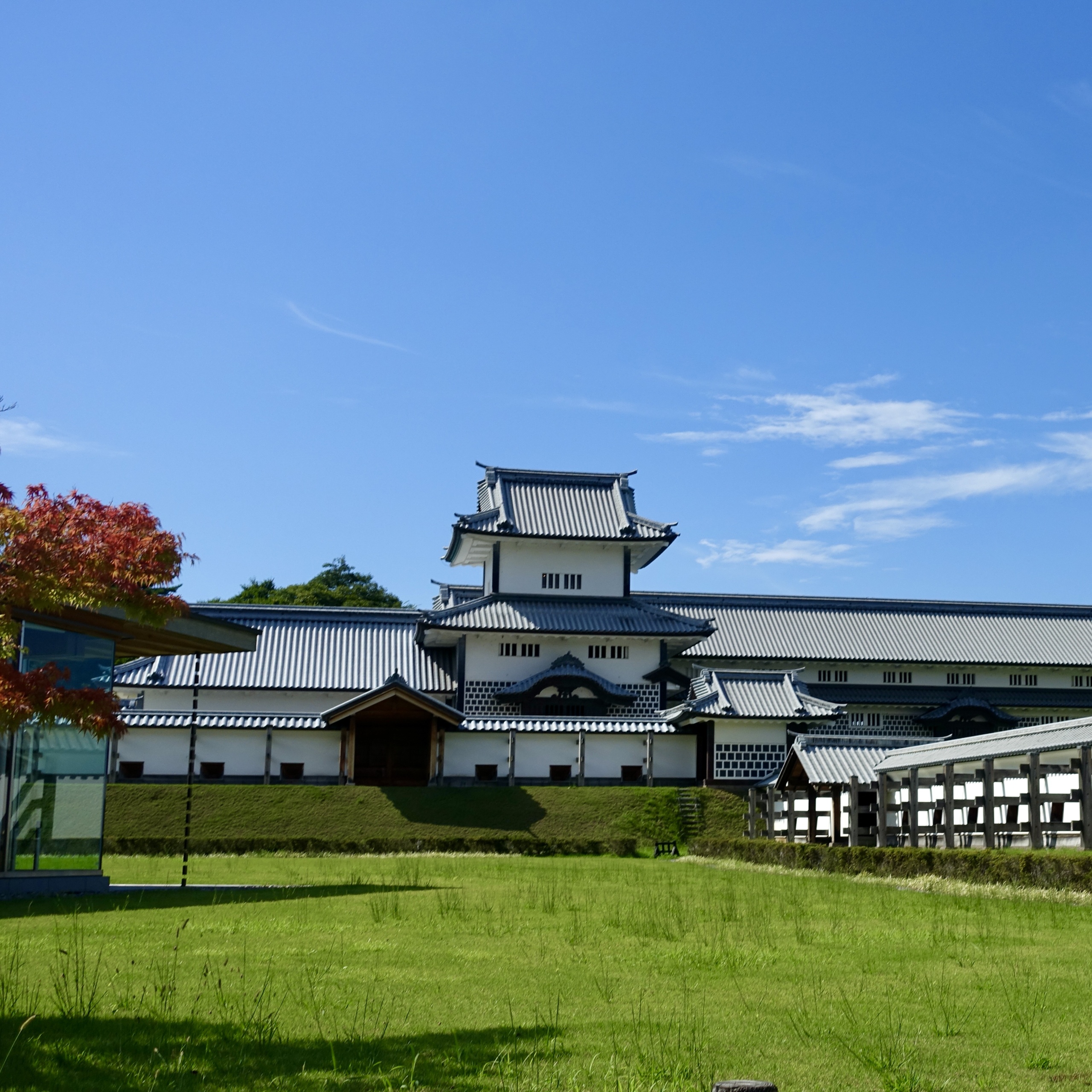 92F5D95B-3755-4A6F-95F4-187106DEE98A_1_201_a