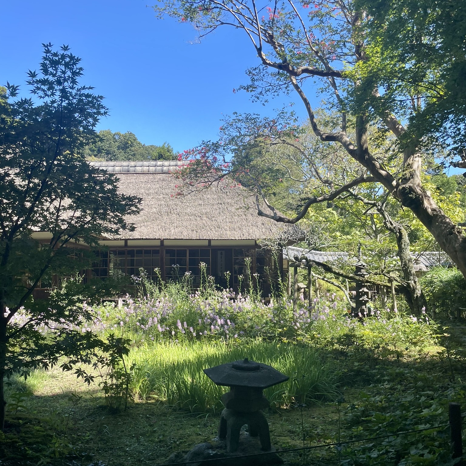 Temple Jochi ji zen 2