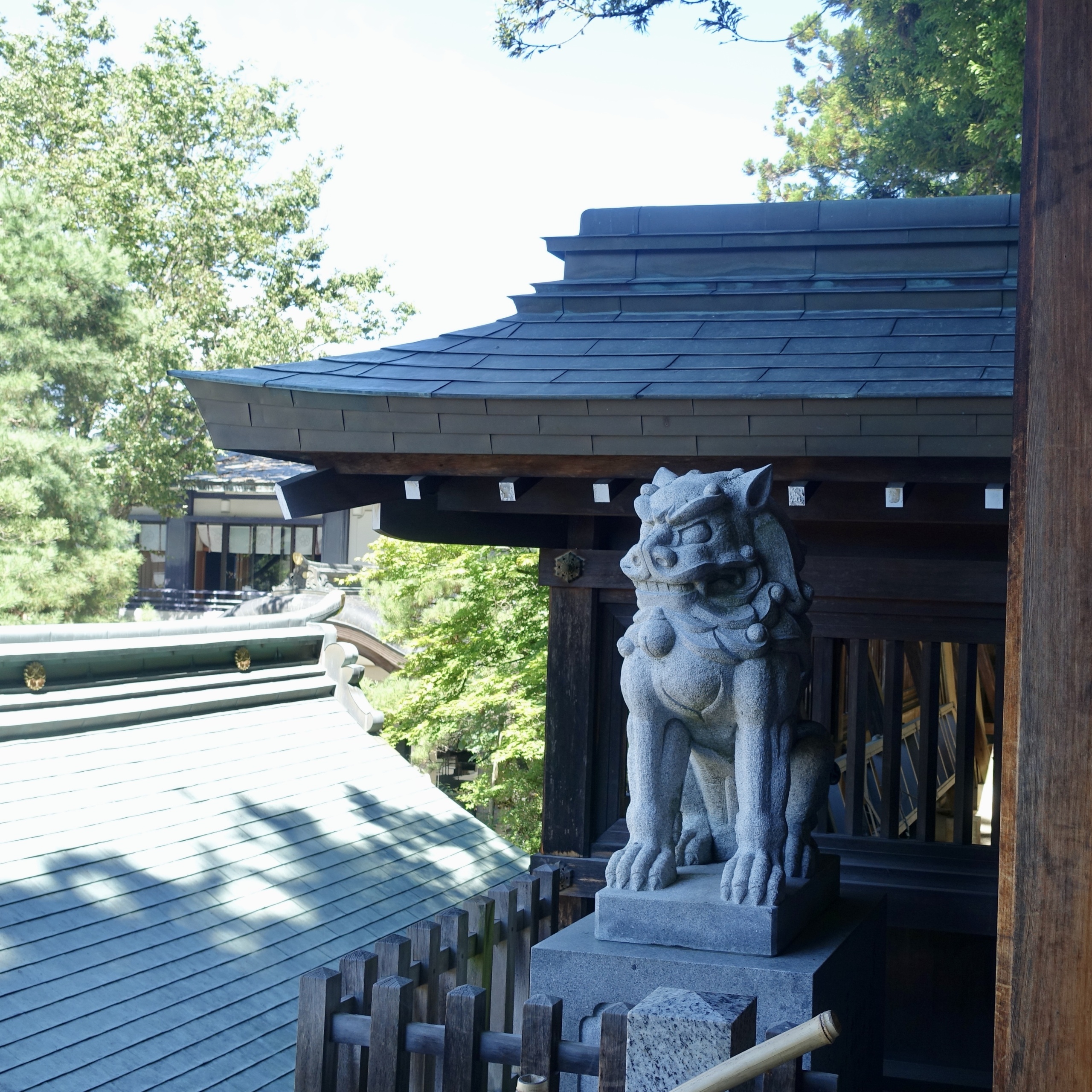 Chien lion entrée
