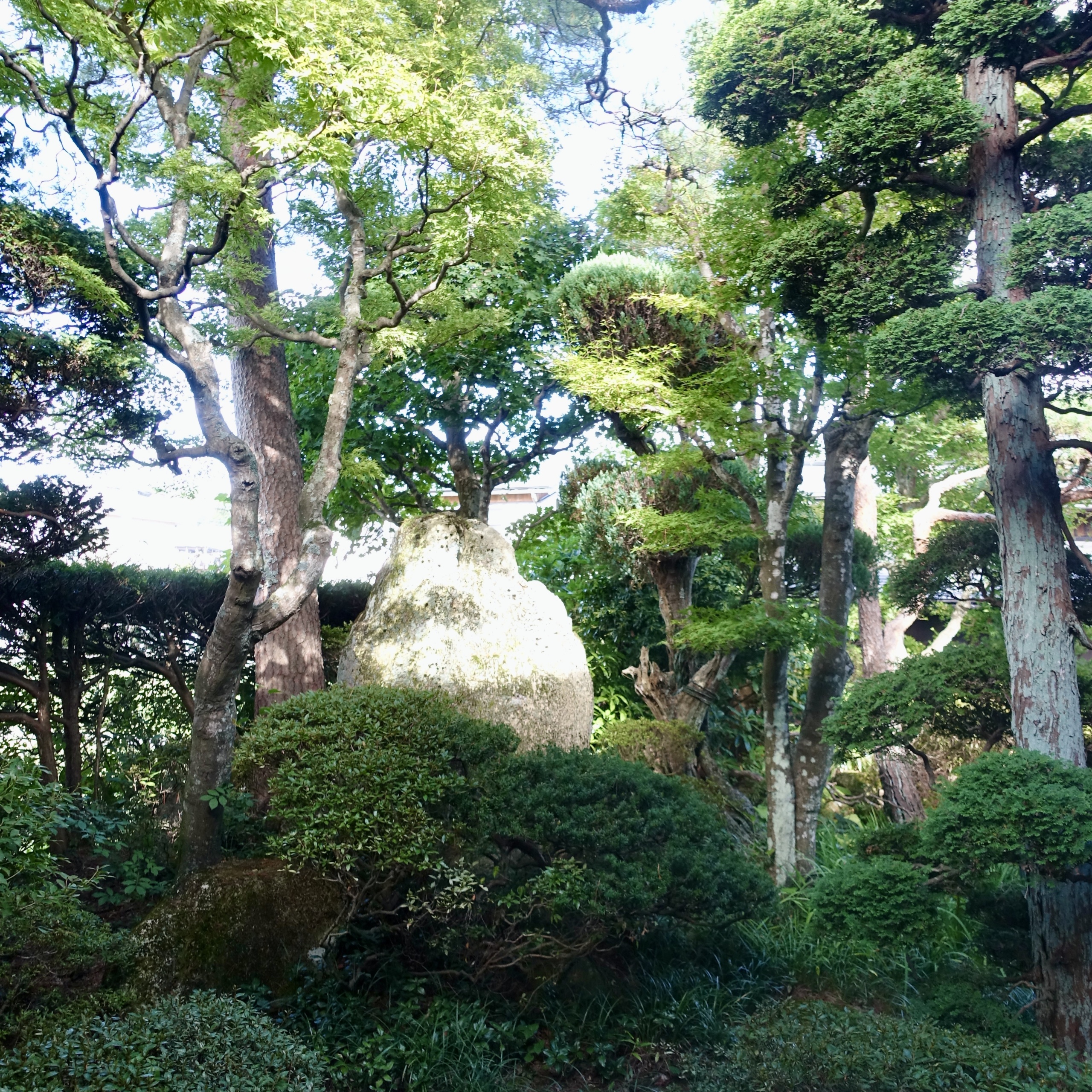 Jardin du calligraphe