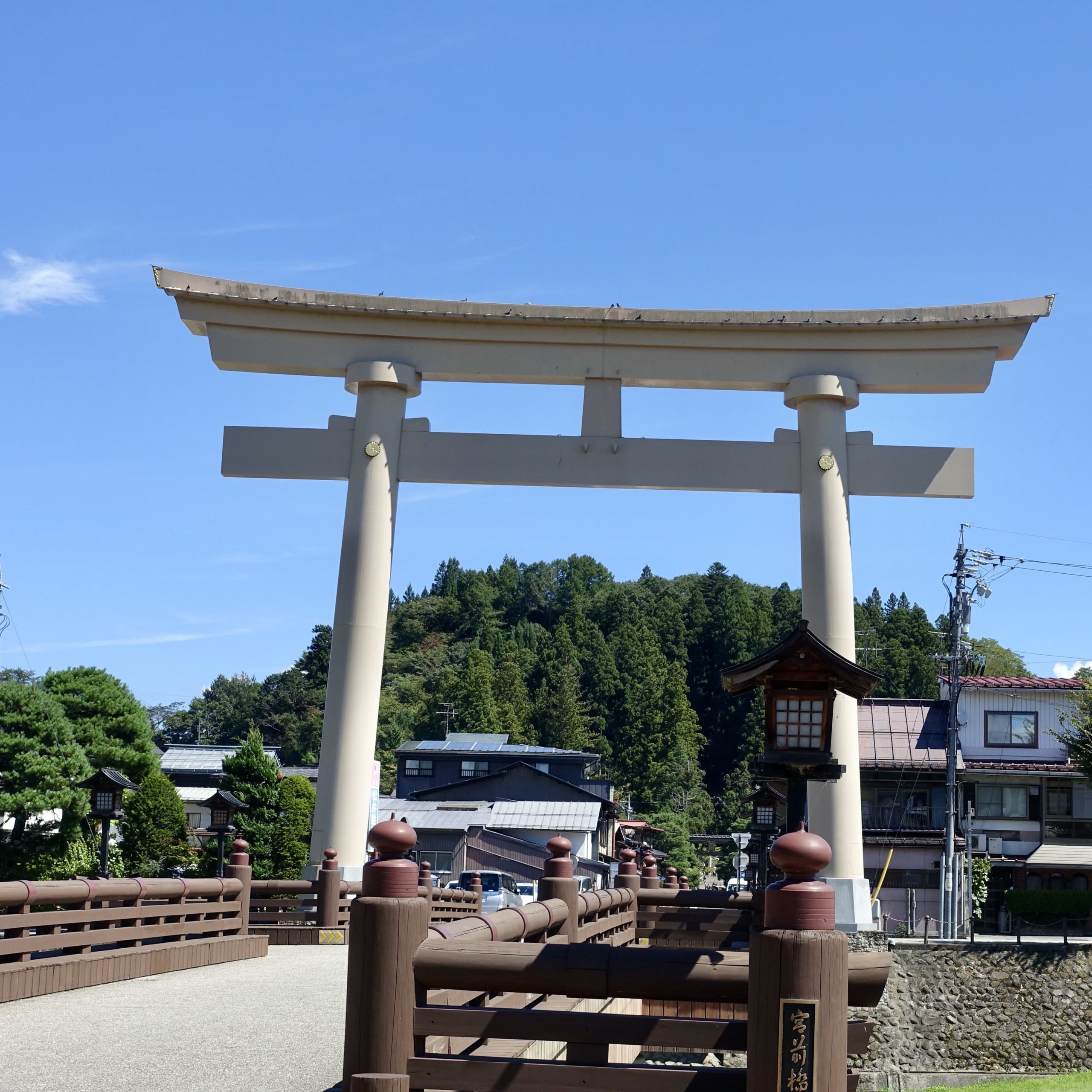 Tori3