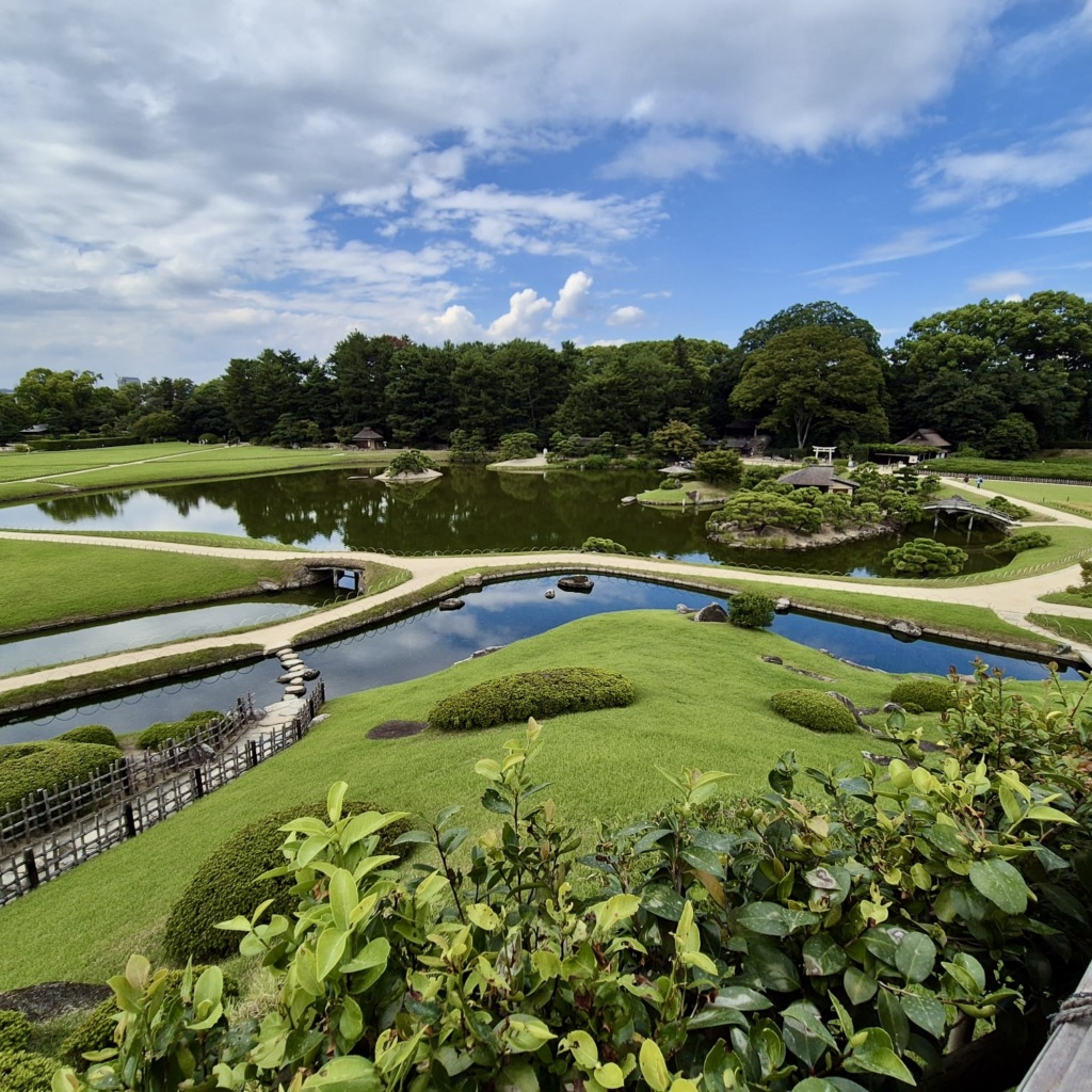 2103F7DF-3B5C-4D11-88B4-0B746A8BAABA_1_201_a