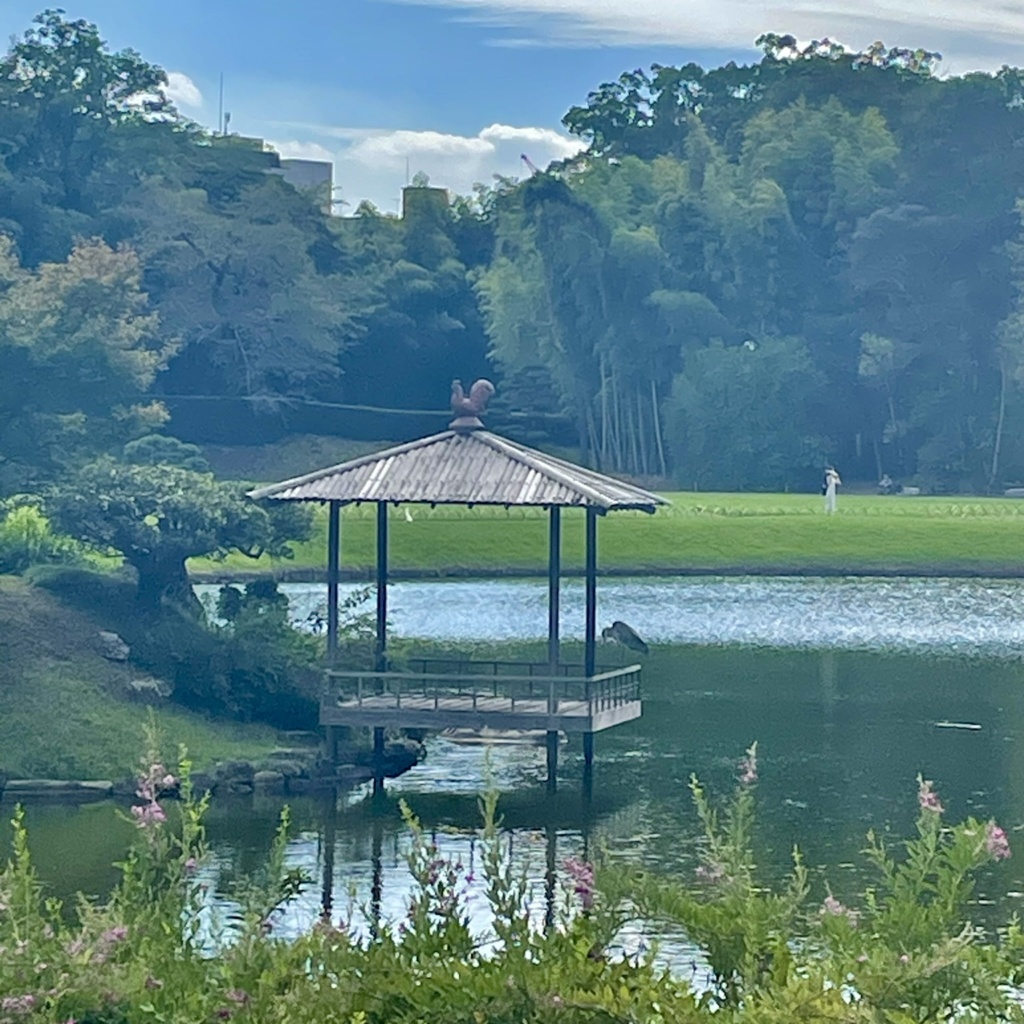 489F9398-CB77-4246-B633-AFE49F1CD8A1_1_201_a