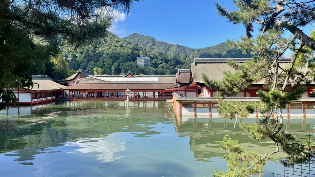 51B8E2C0-7F5D-4D88-845F-A7D26492B8B4_1_201_a