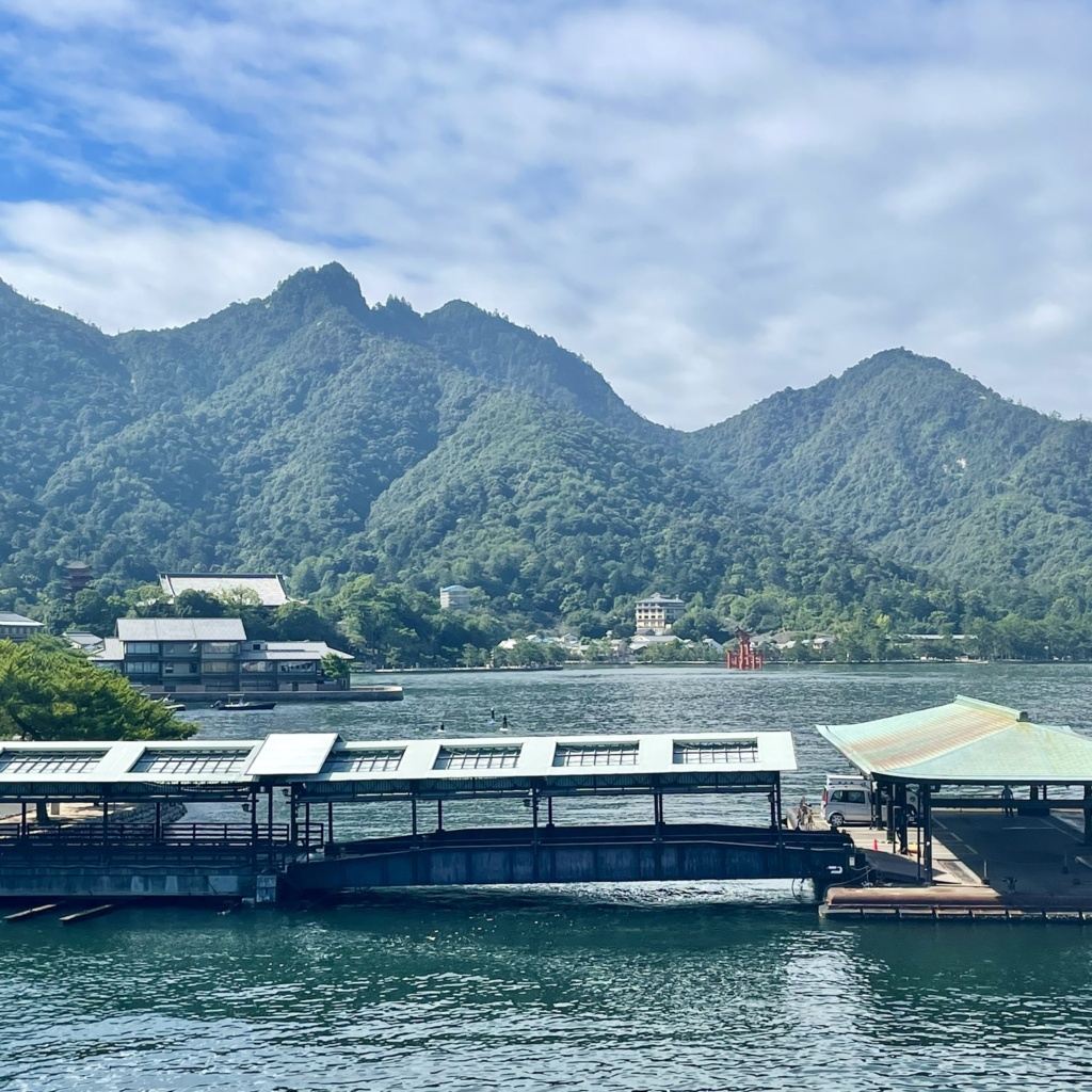 5228C1C2-FFDB-4903-909F-45A63BAE8C2D_1_201_a