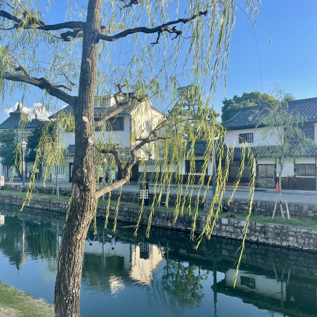 DE5F6F22-88BF-4C58-B1B4-30849AE9FFF5_1_201_a